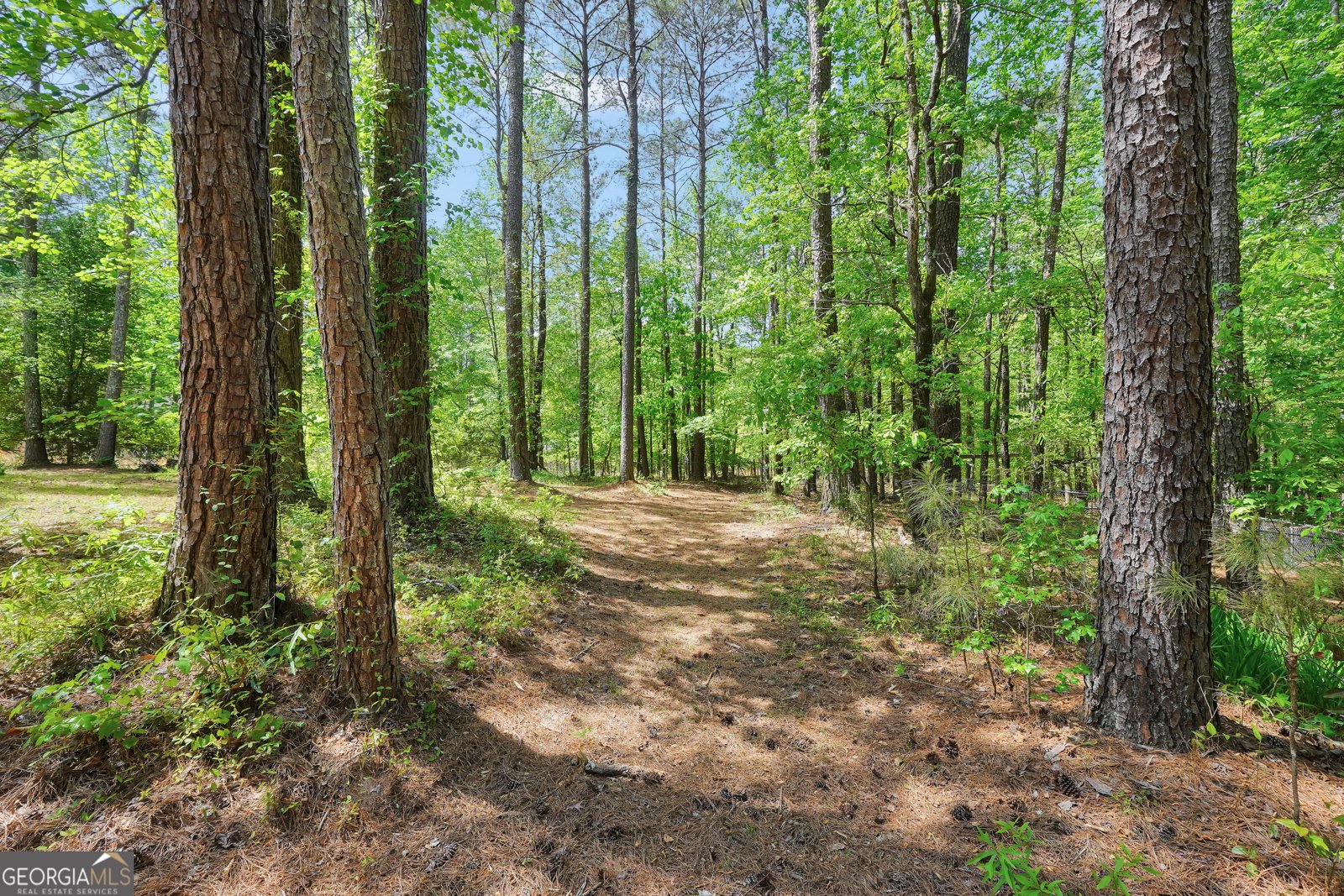 600 Turner Road McDonough - Photo 38