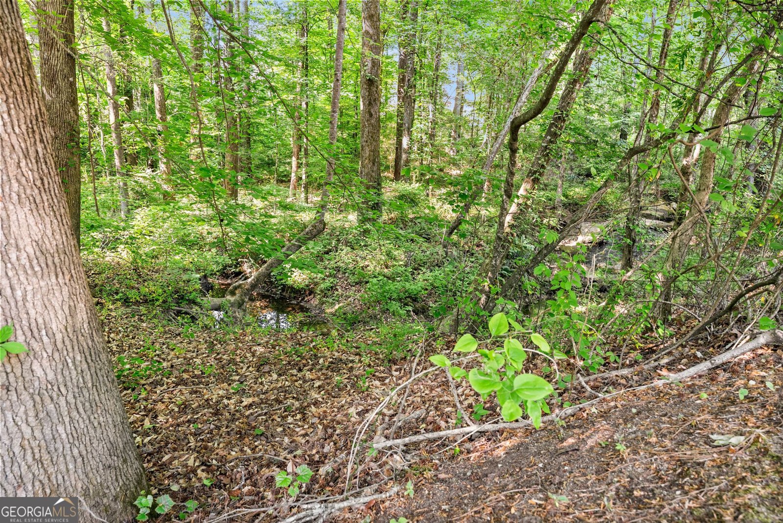 1632 Paces Vale Court Lawrenceville - Photo 42