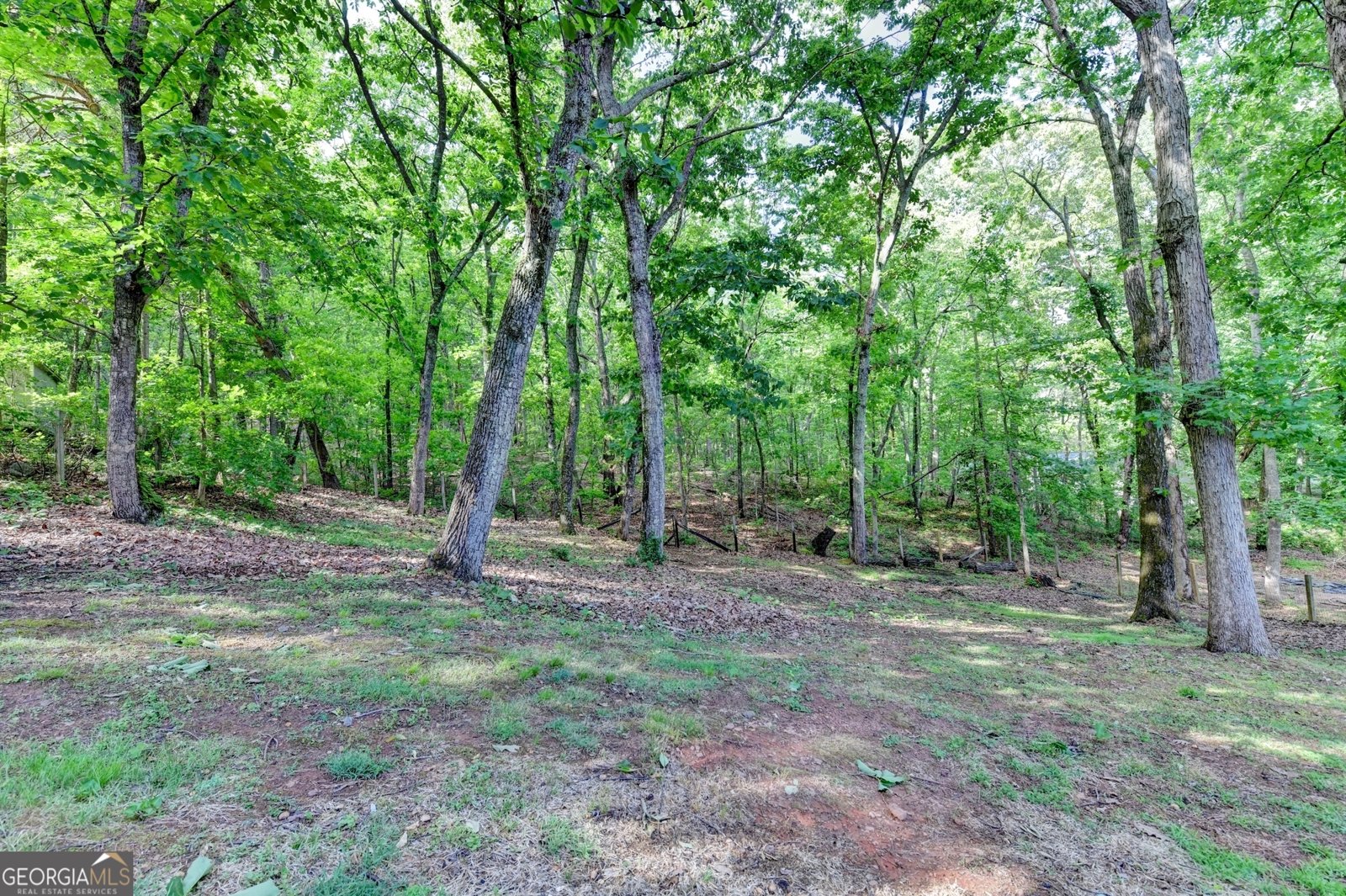 1899 Barnes Mill Road Marietta - Photo 65