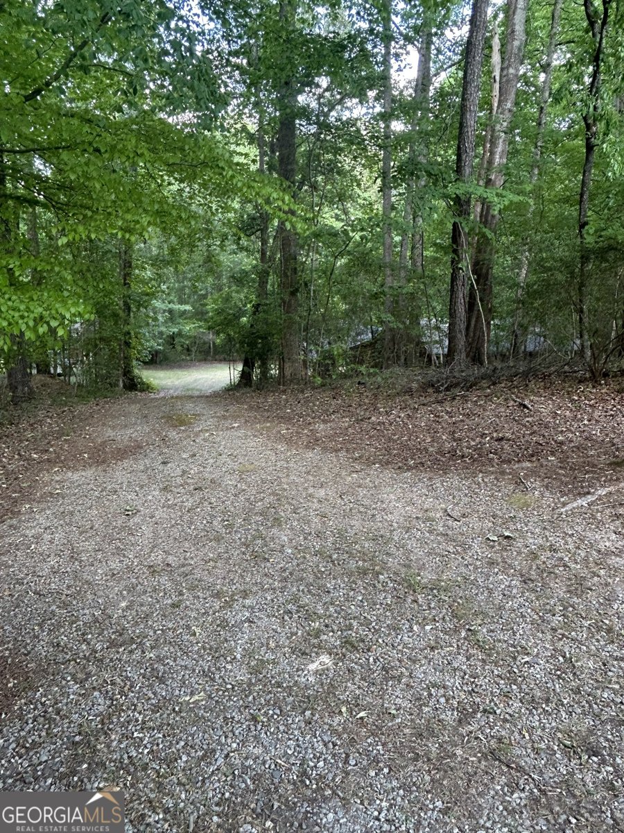 4800 Bethlehem Road Fairburn - Photo 6