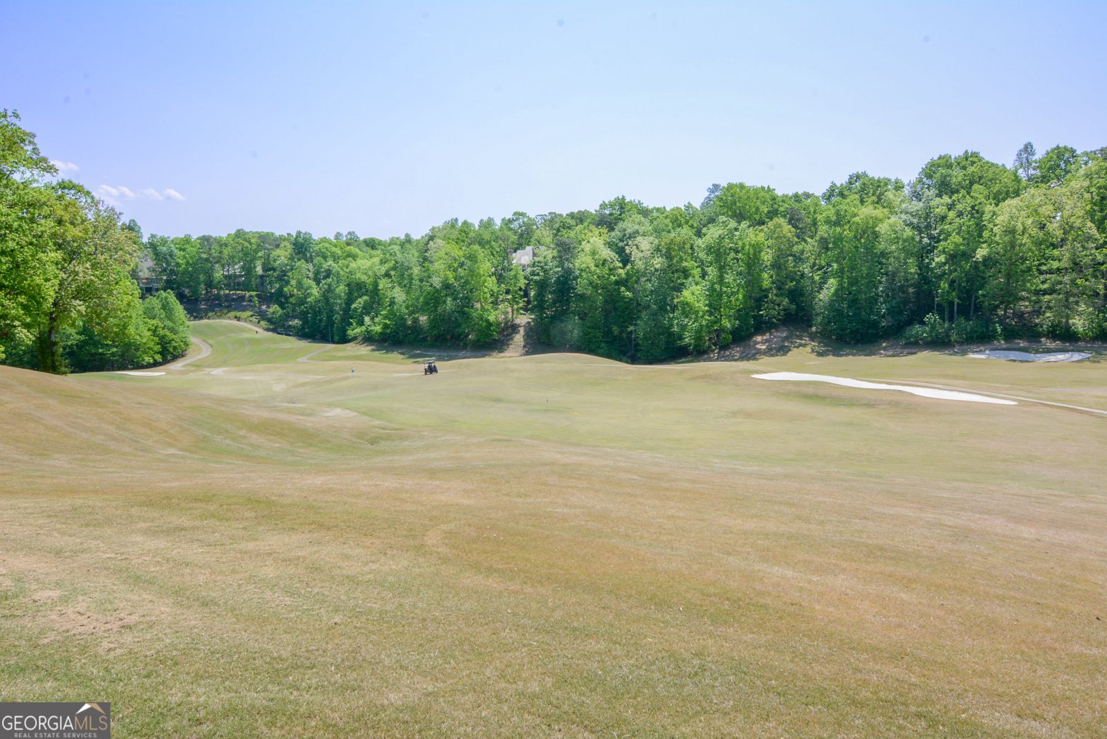 74 Cove Circle Dawsonville - Photo 72