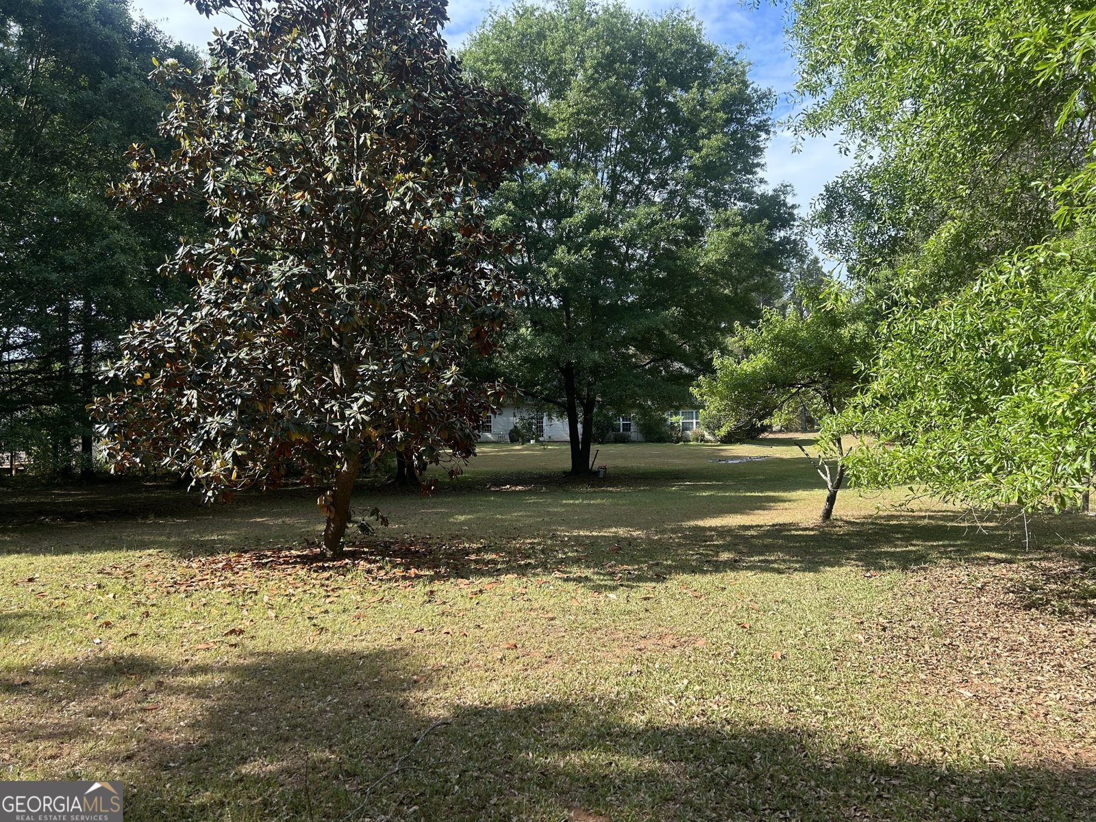 31 Pinewood Lane Colbert - Photo 33