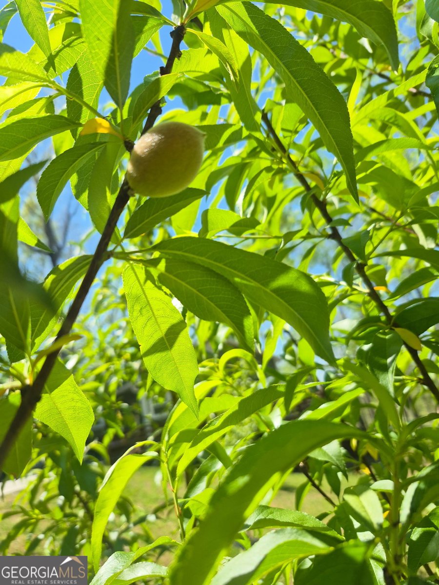 6663 Claude Parks Road Murrayville - Photo 35