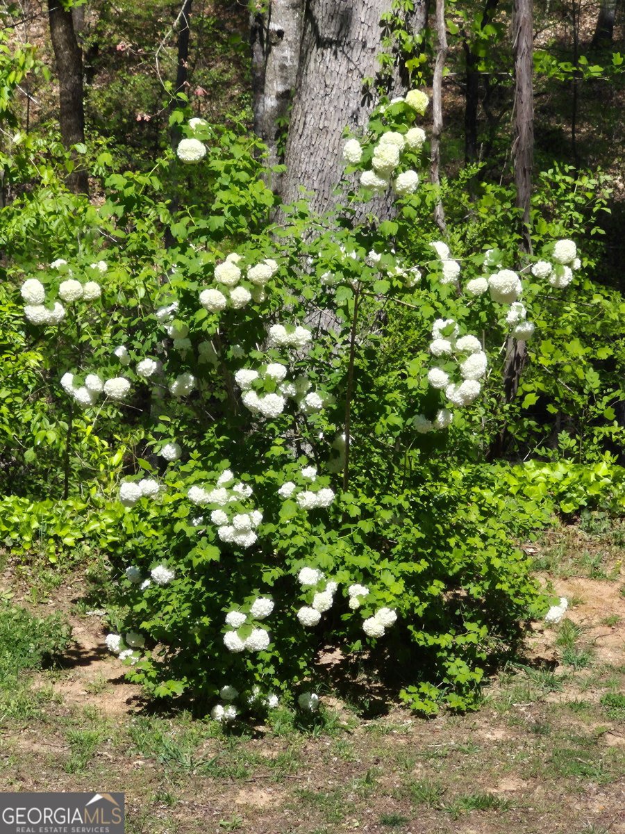 6663 Claude Parks Road Murrayville - Photo 38