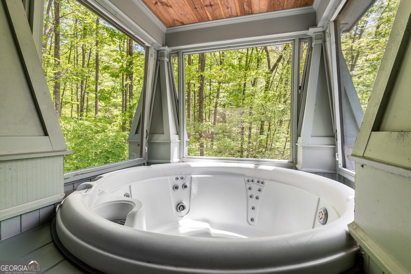 8954 Doublehead Gap Road Blue Ridge - Photo 12