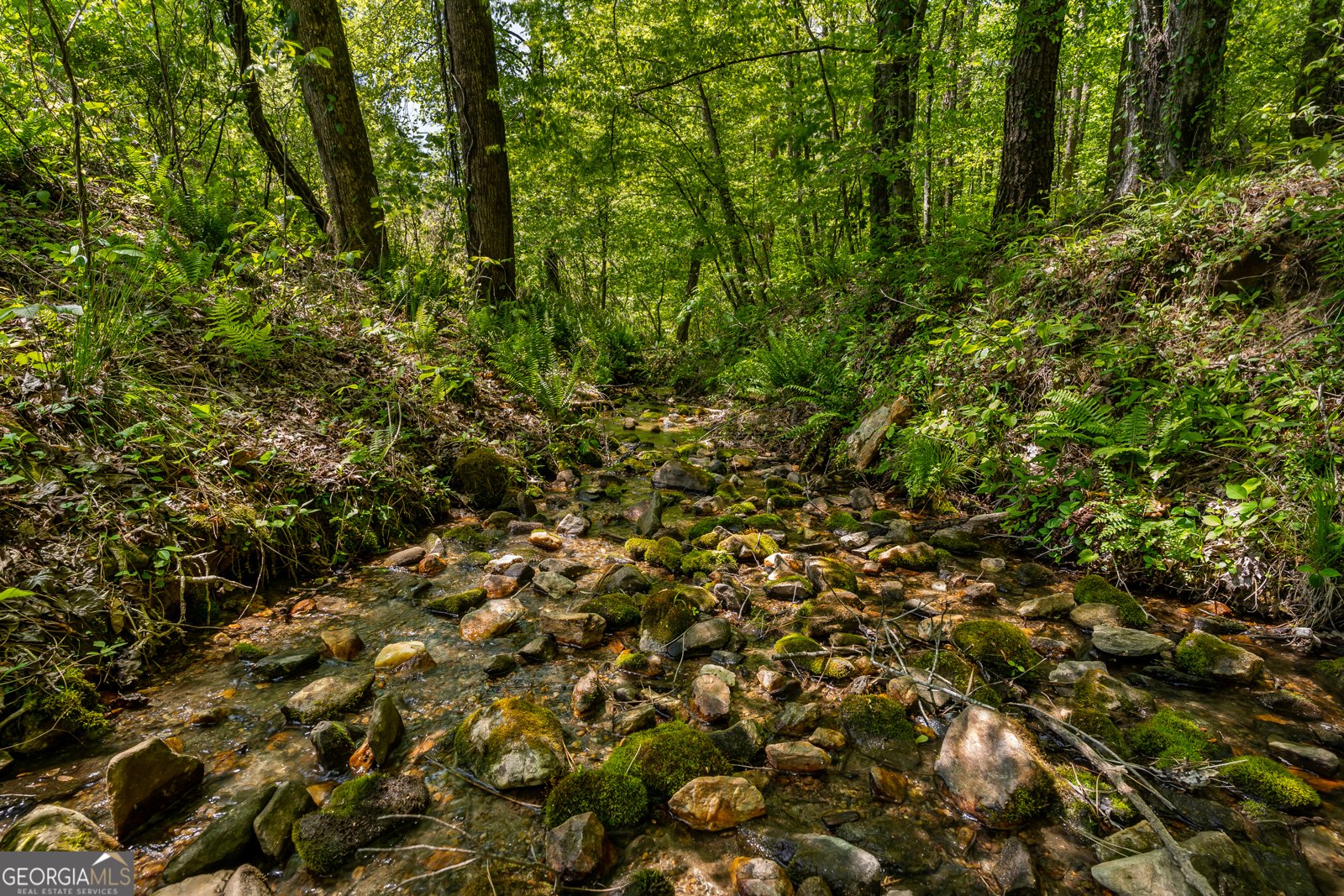 8954 Doublehead Gap Road Blue Ridge - Photo 15