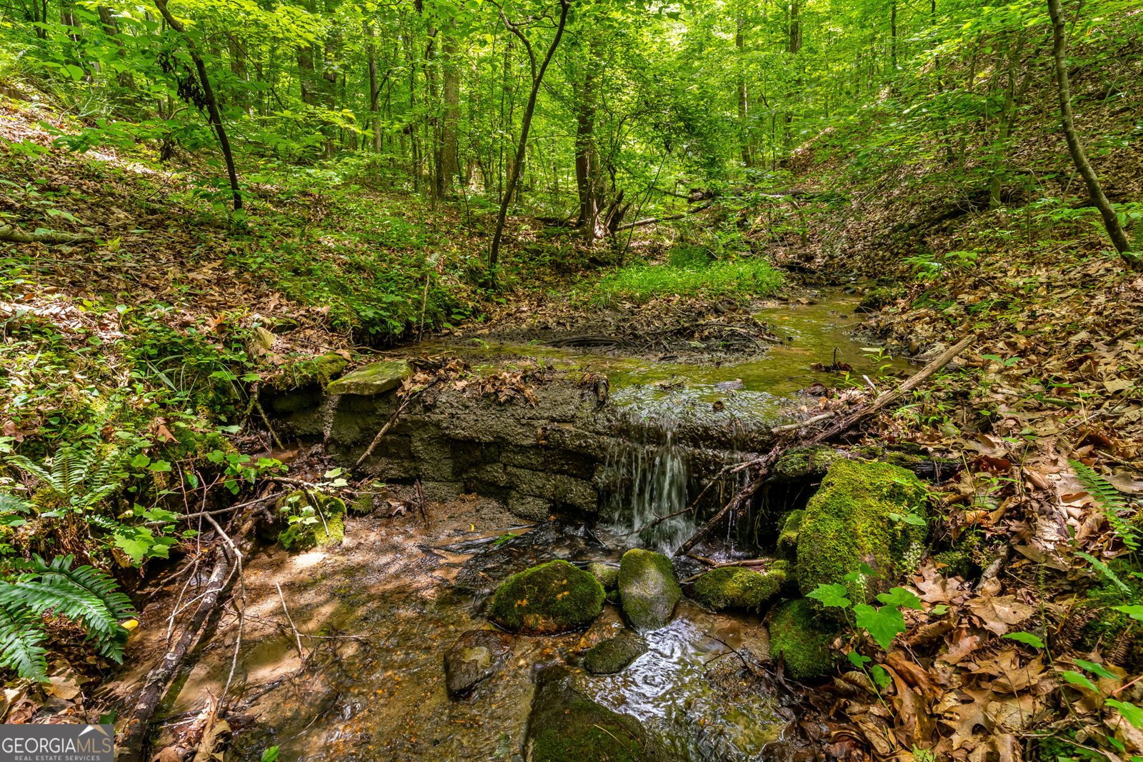 8954 Doublehead Gap Road Blue Ridge - Photo 60