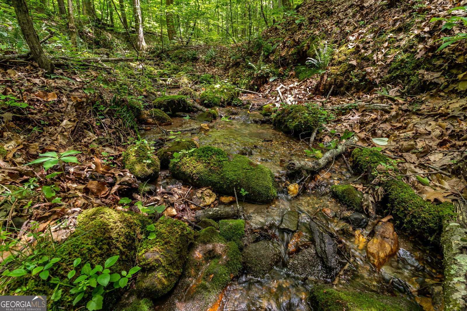 8954 Doublehead Gap Road Blue Ridge - Photo 61