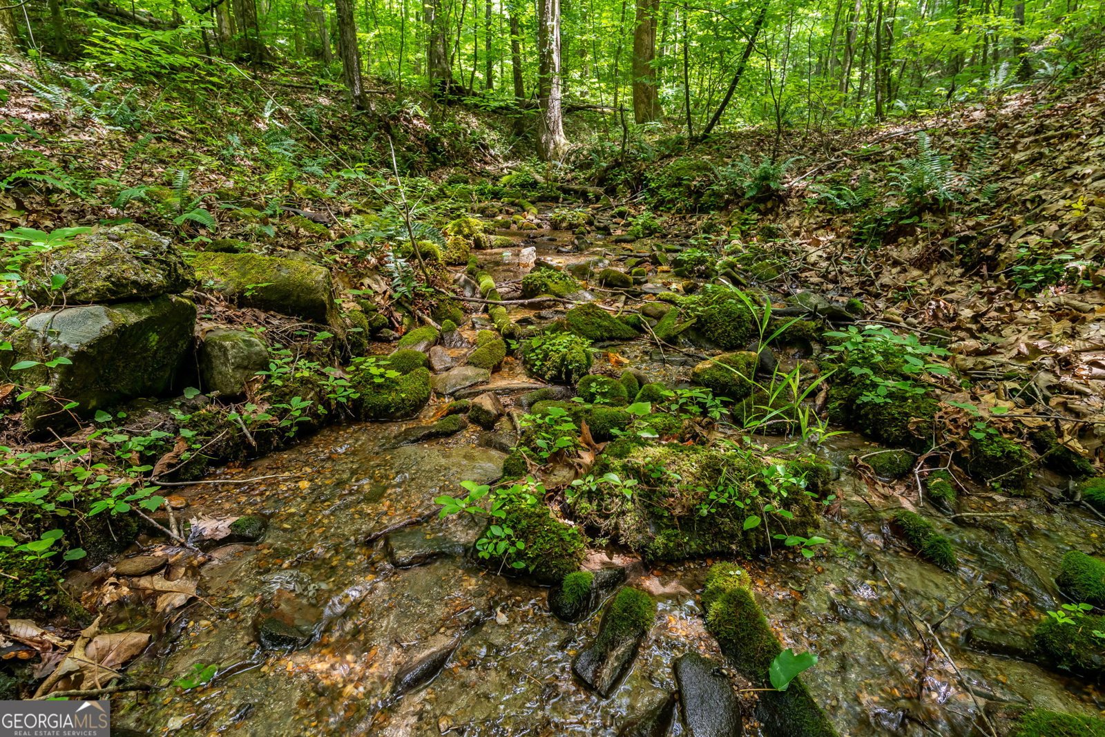 8954 Doublehead Gap Road Blue Ridge - Photo 62