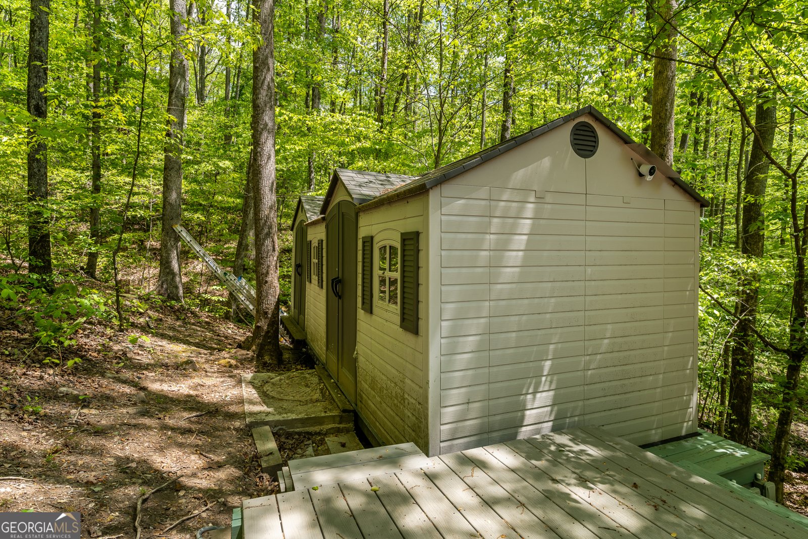 8954 Doublehead Gap Road Blue Ridge - Photo 9