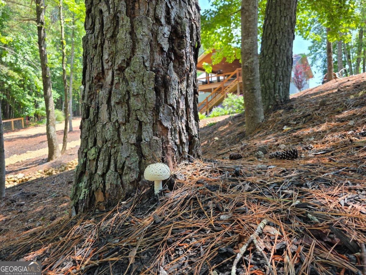 86 Back Trail Cleveland - Photo 58