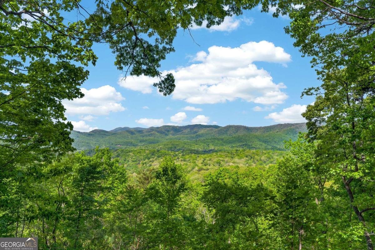 532 Cohutta Mountain Road Blue Ridge - Photo 24