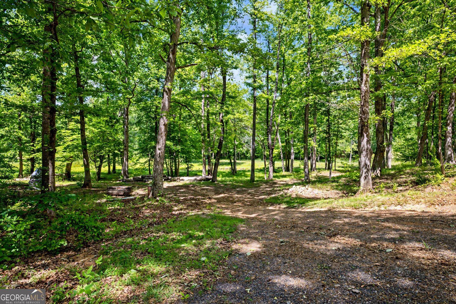235 Buckeye Farms Drive Moreland - Photo 52