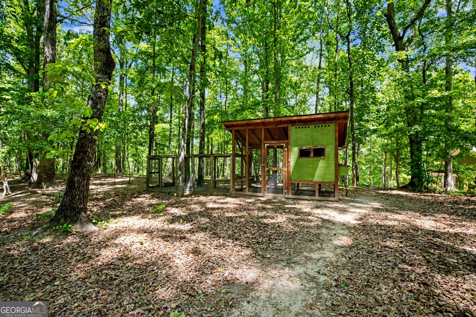 235 Buckeye Farms Drive Moreland - Photo 54