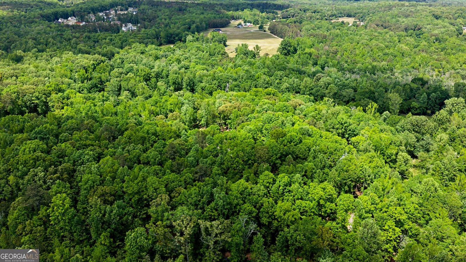 235 Buckeye Farms Drive Moreland - Photo 63