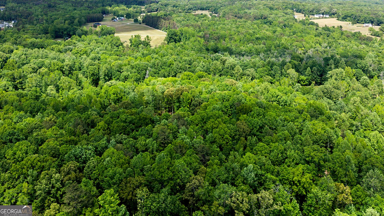 235 Buckeye Farms Drive Moreland - Photo 64