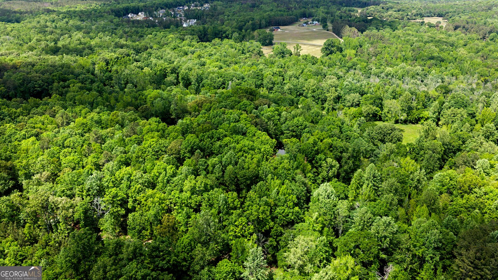 235 Buckeye Farms Drive Moreland - Photo 65