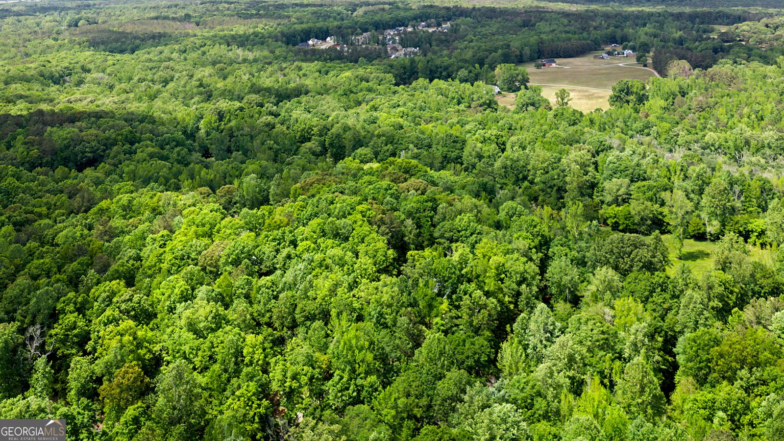 235 Buckeye Farms Drive Moreland - Photo 66