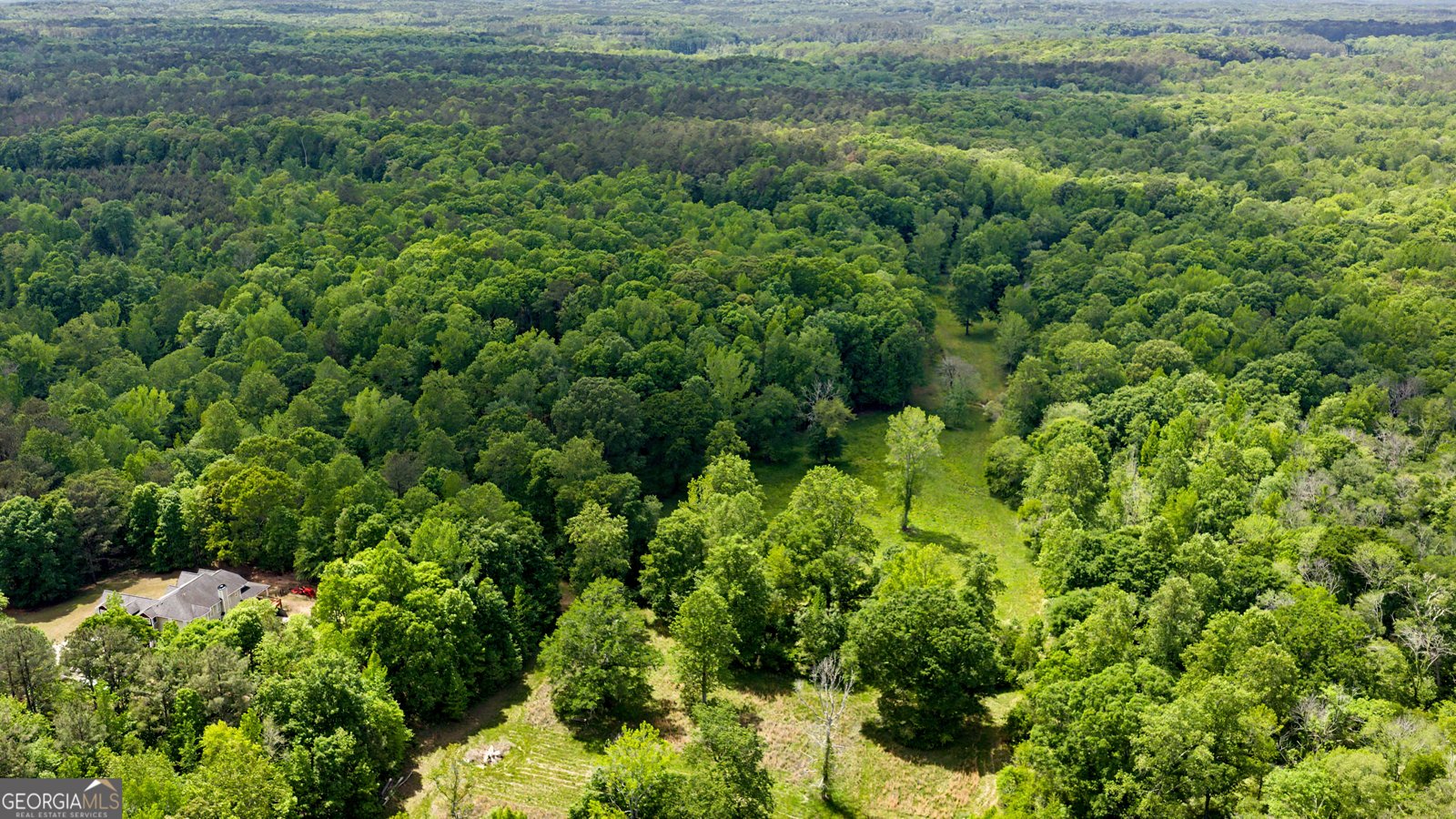 235 Buckeye Farms Drive Moreland - Photo 67