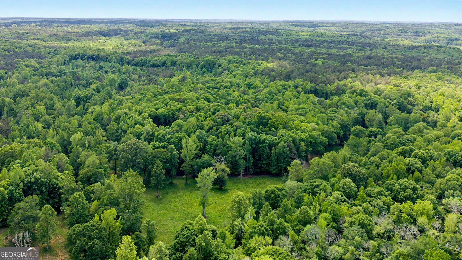 235 Buckeye Farms Drive Moreland - Photo 68