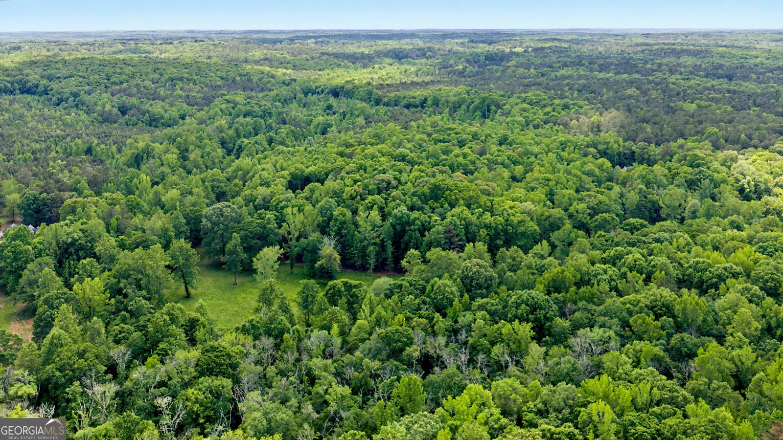 235 Buckeye Farms Drive Moreland - Photo 69