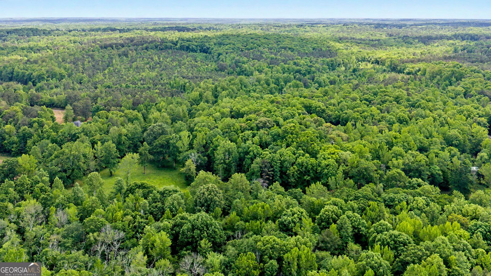 235 Buckeye Farms Drive Moreland - Photo 70
