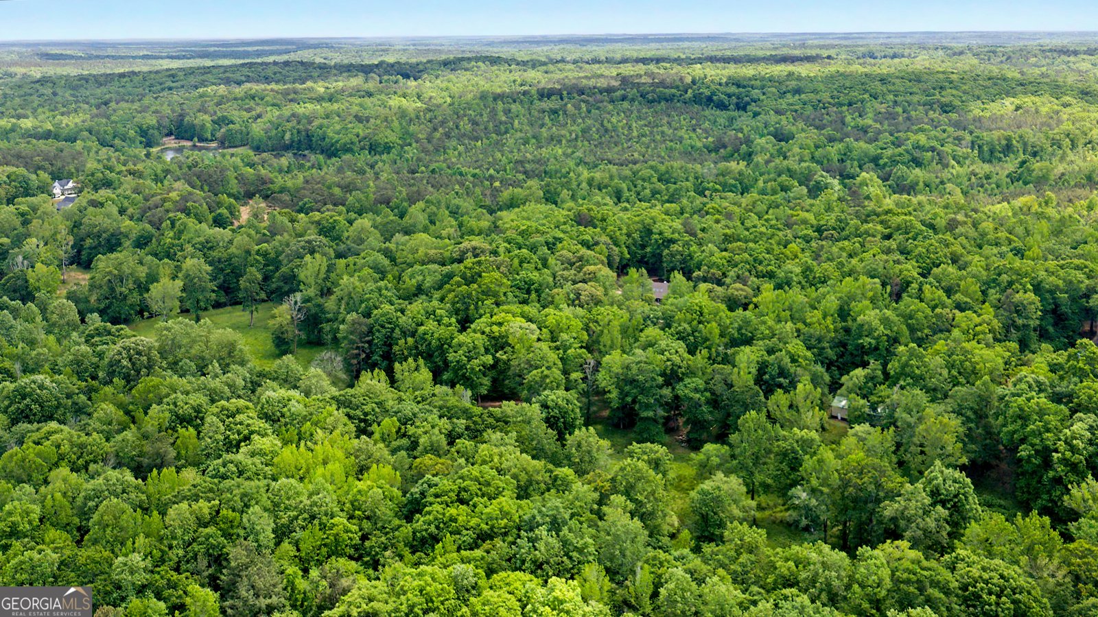 235 Buckeye Farms Drive Moreland - Photo 71