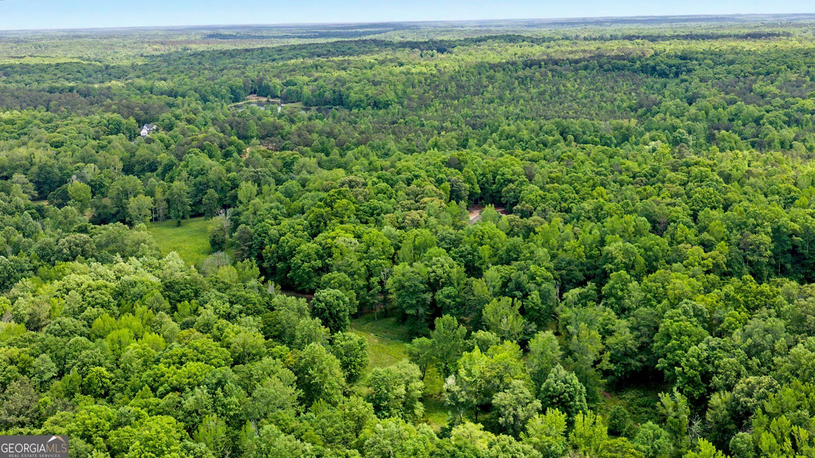 235 Buckeye Farms Drive Moreland - Photo 72