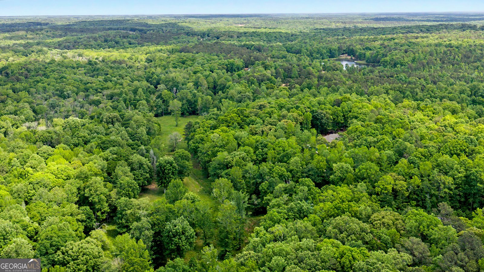 235 Buckeye Farms Drive Moreland - Photo 73
