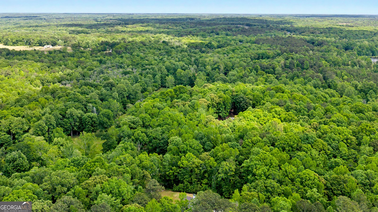 235 Buckeye Farms Drive Moreland - Photo 74