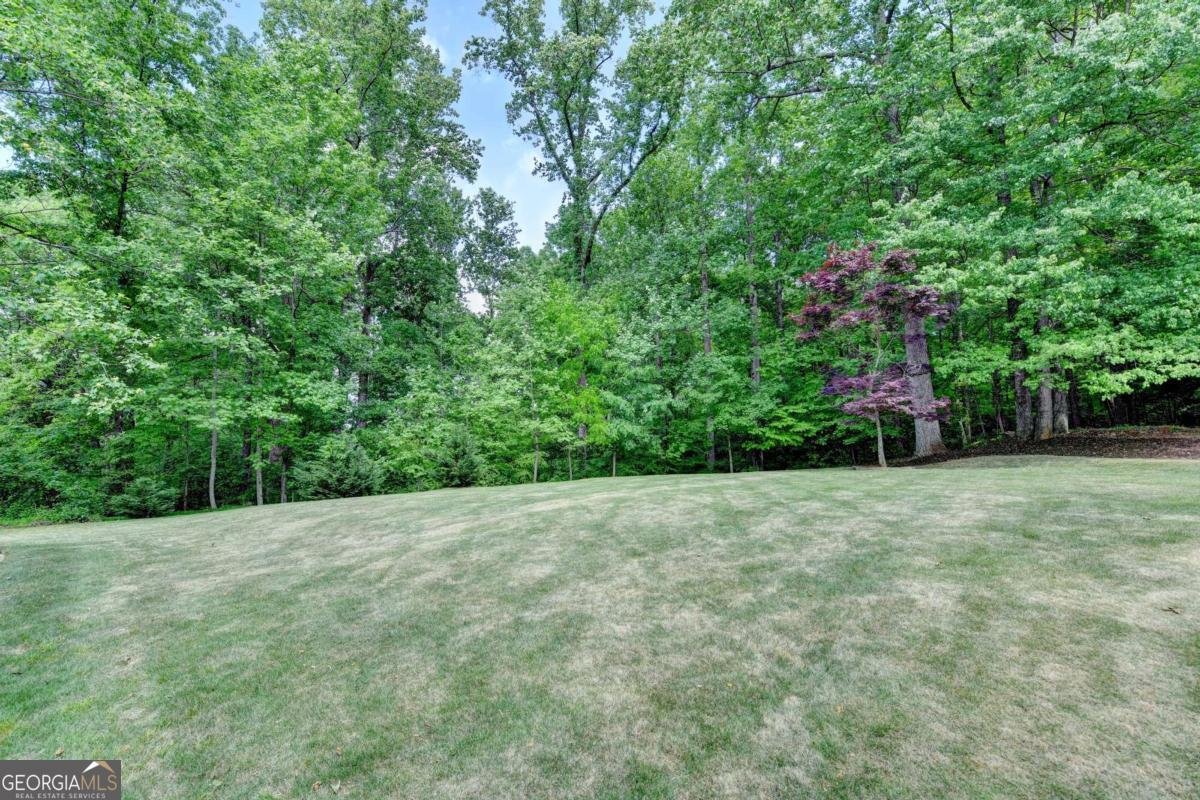 3410 Ashton Drive Suwanee - Photo 49