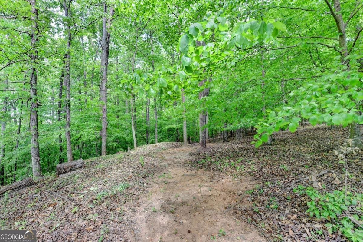 3410 Ashton Drive Suwanee - Photo 56