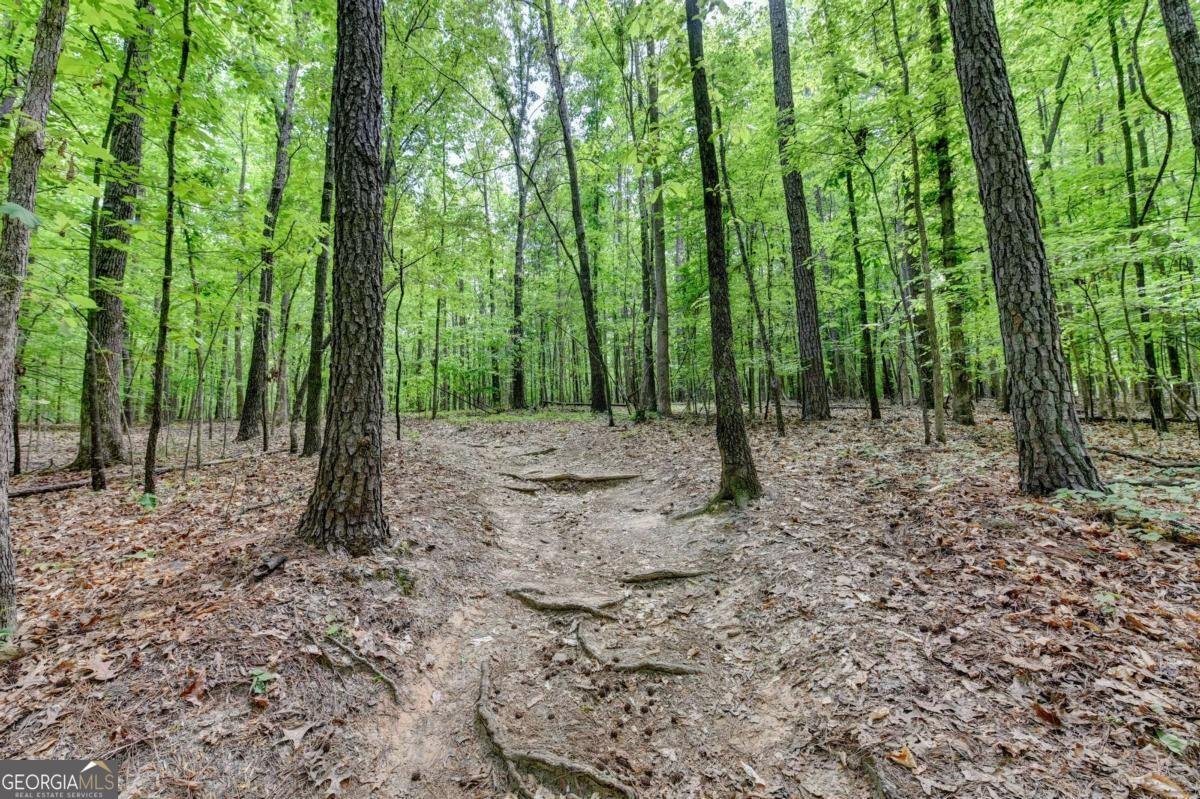 3410 Ashton Drive Suwanee - Photo 57