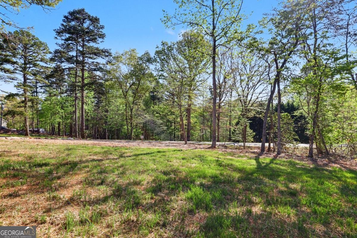 1323 John Smith Road E Blairsville - Photo 49