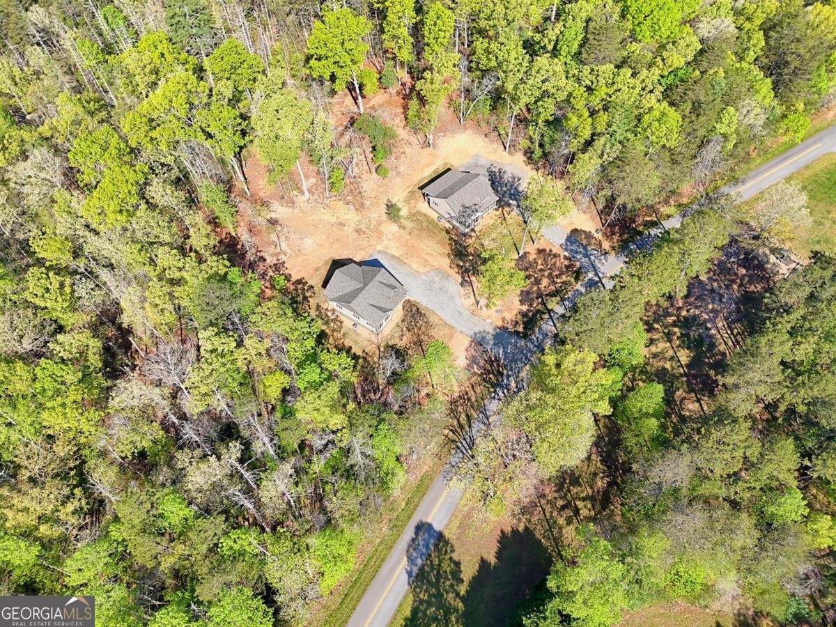 1323 John Smith Road E Blairsville - Photo 50