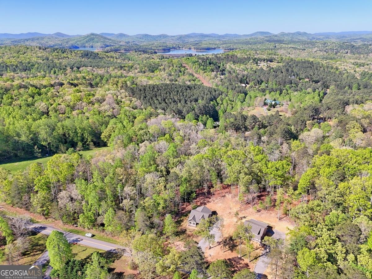 1323 John Smith Road E Blairsville - Photo 51