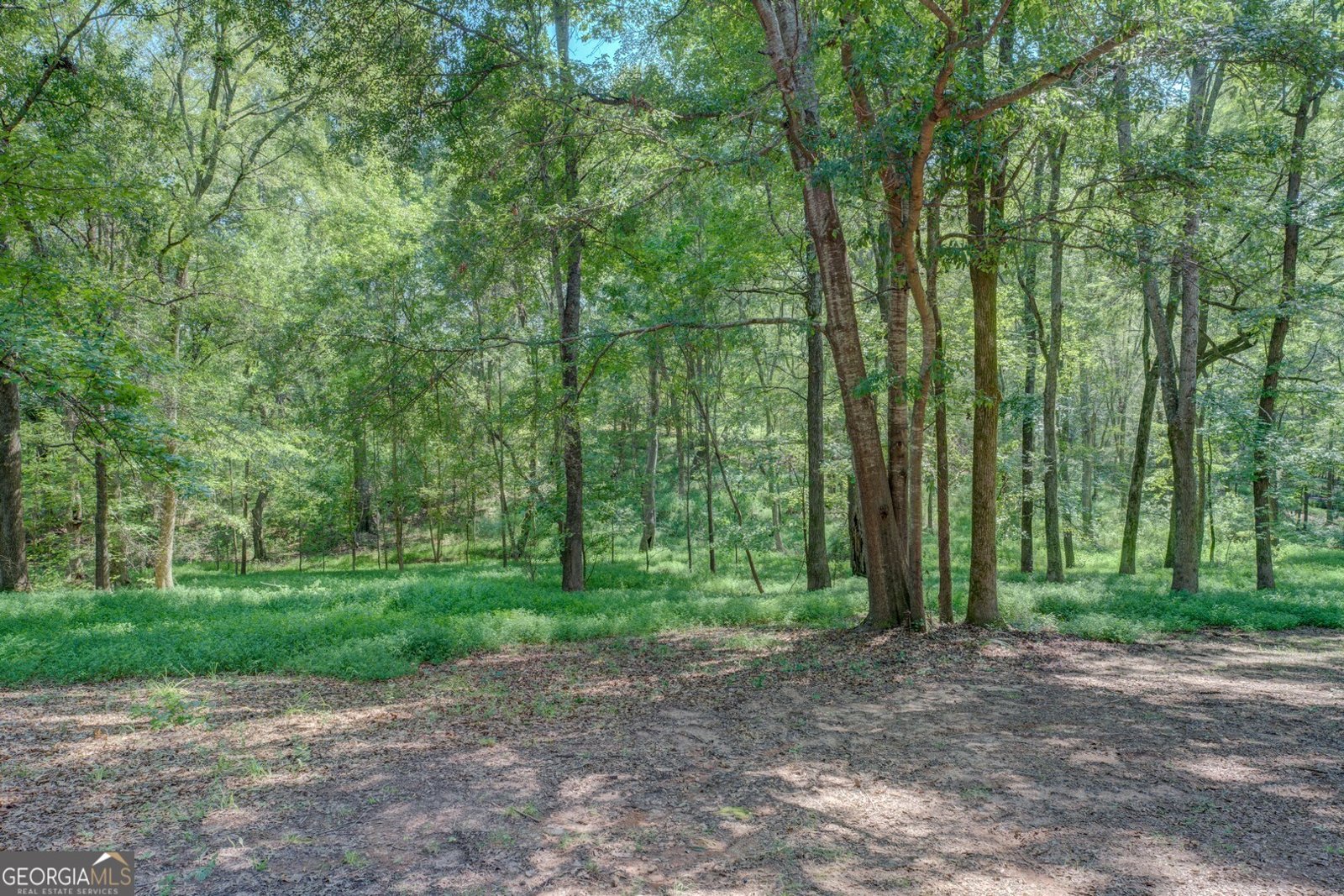 1295 Cornish Mountain Rd Covington - Photo 27