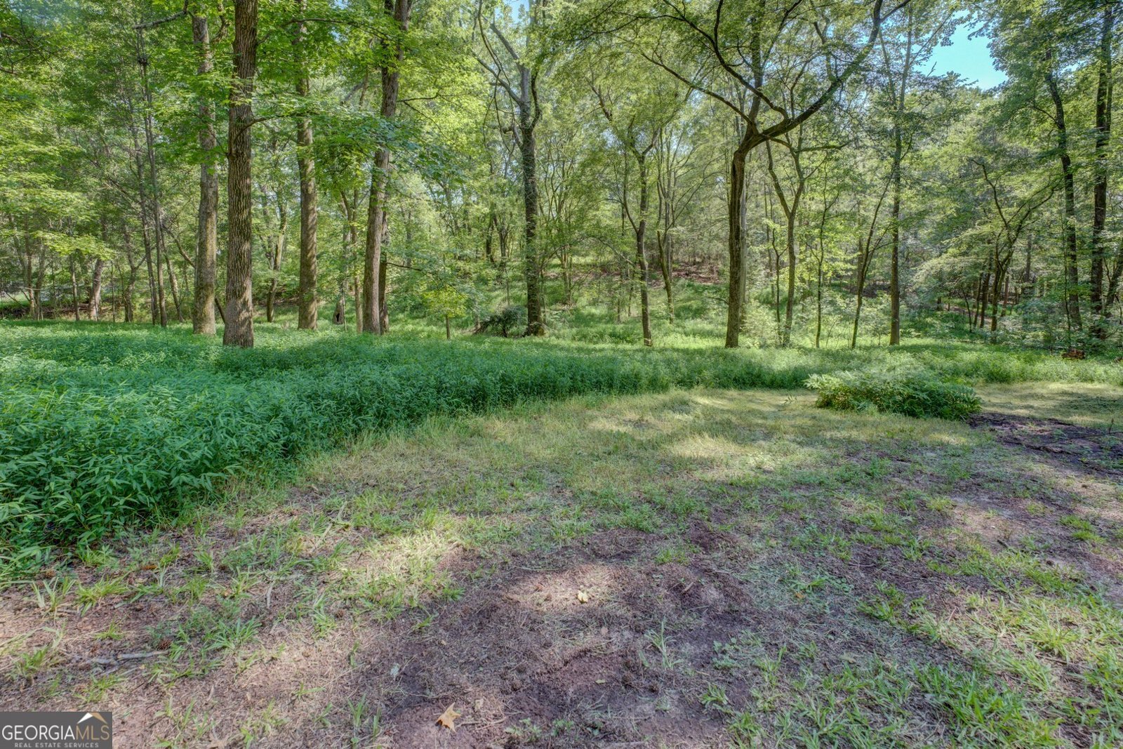 1295 Cornish Mountain Rd Covington - Photo 29