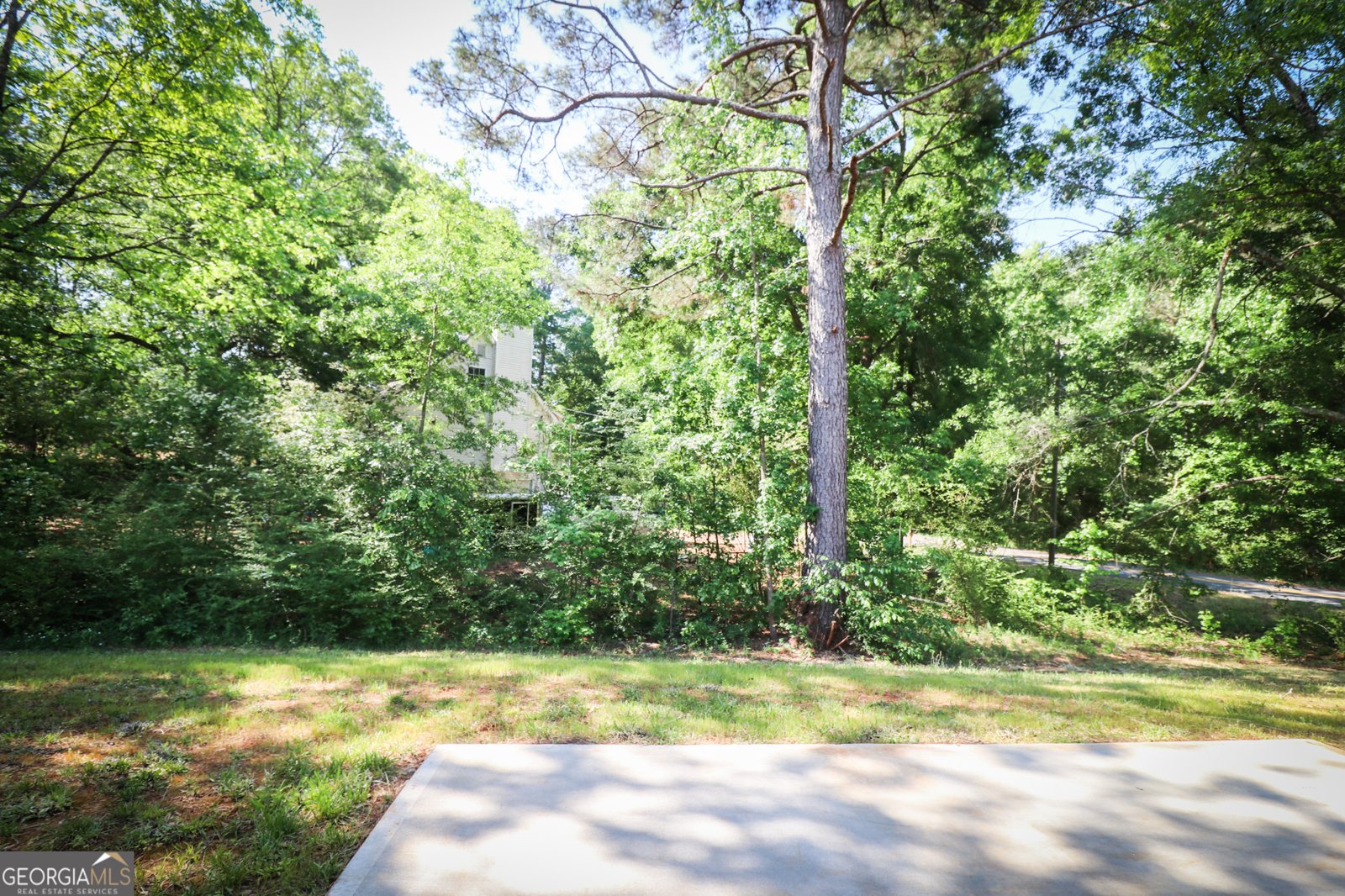 101 Alexandria Way Thomaston - Photo 87