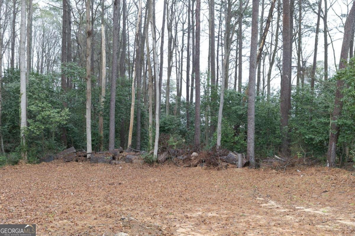 6540 Connell Road South Fulton - Photo 16