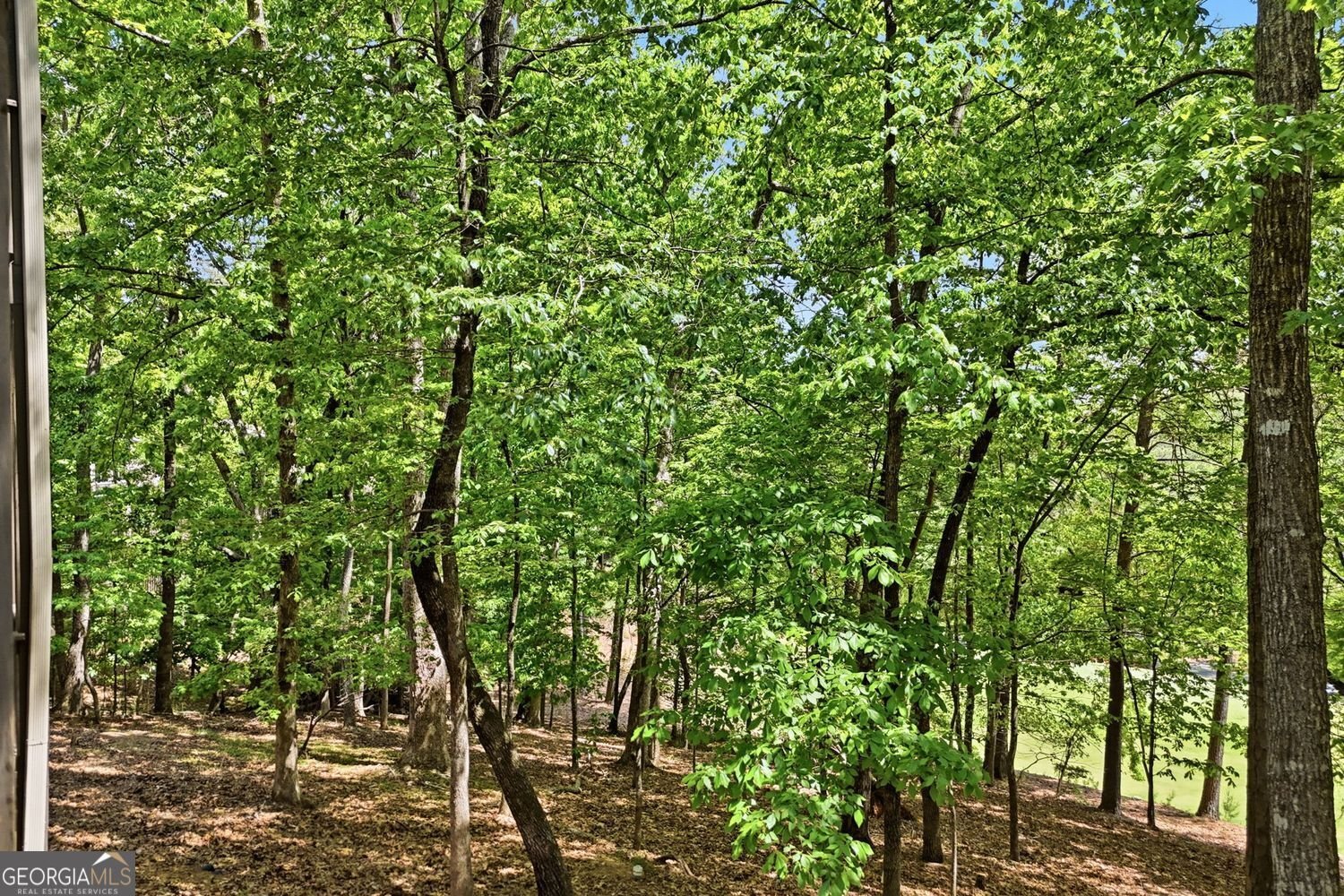 67 Chestnut Knoll Court Jasper - Photo 52