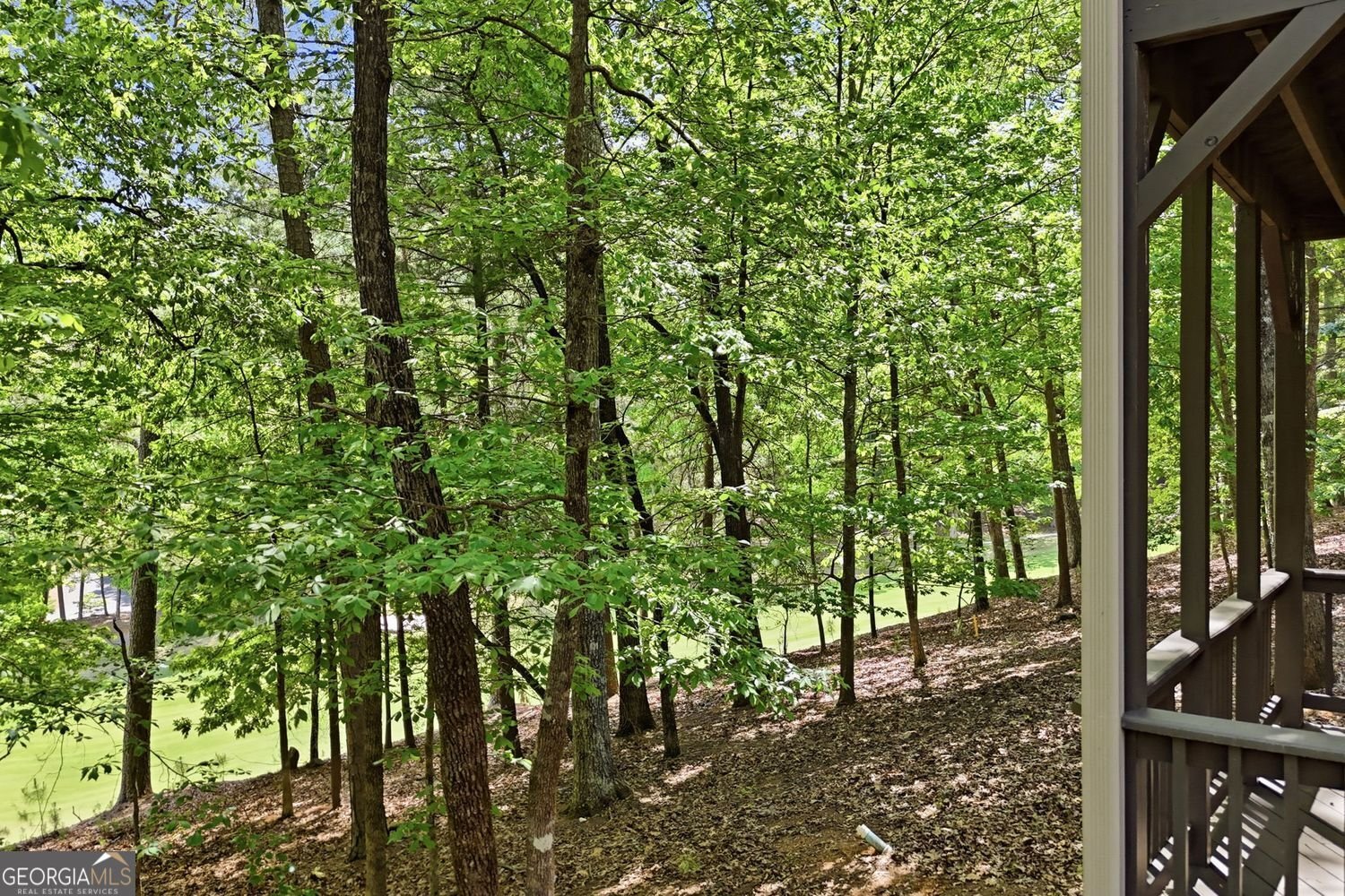 67 Chestnut Knoll Court Jasper - Photo 53