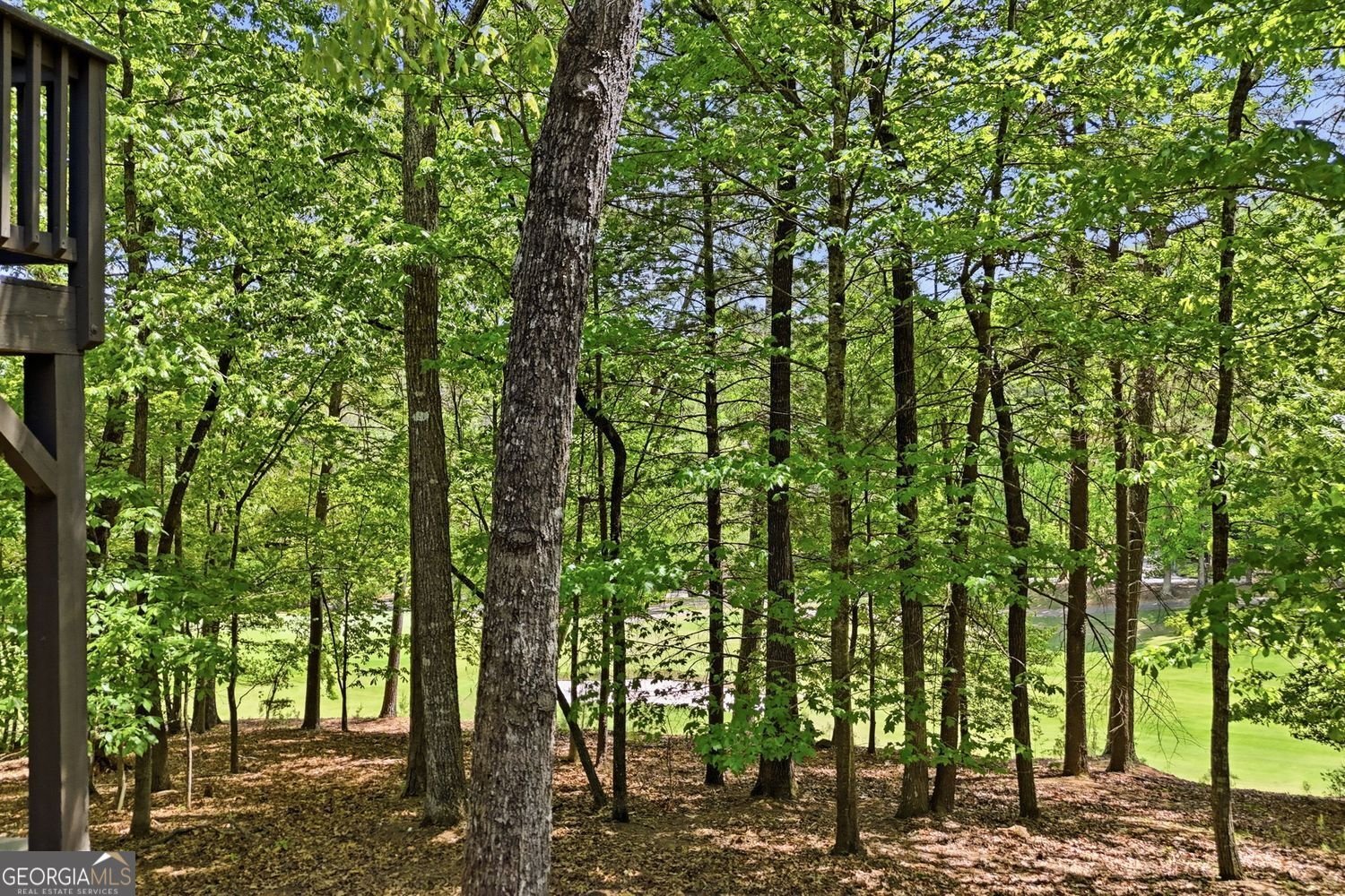 67 Chestnut Knoll Court Jasper - Photo 54