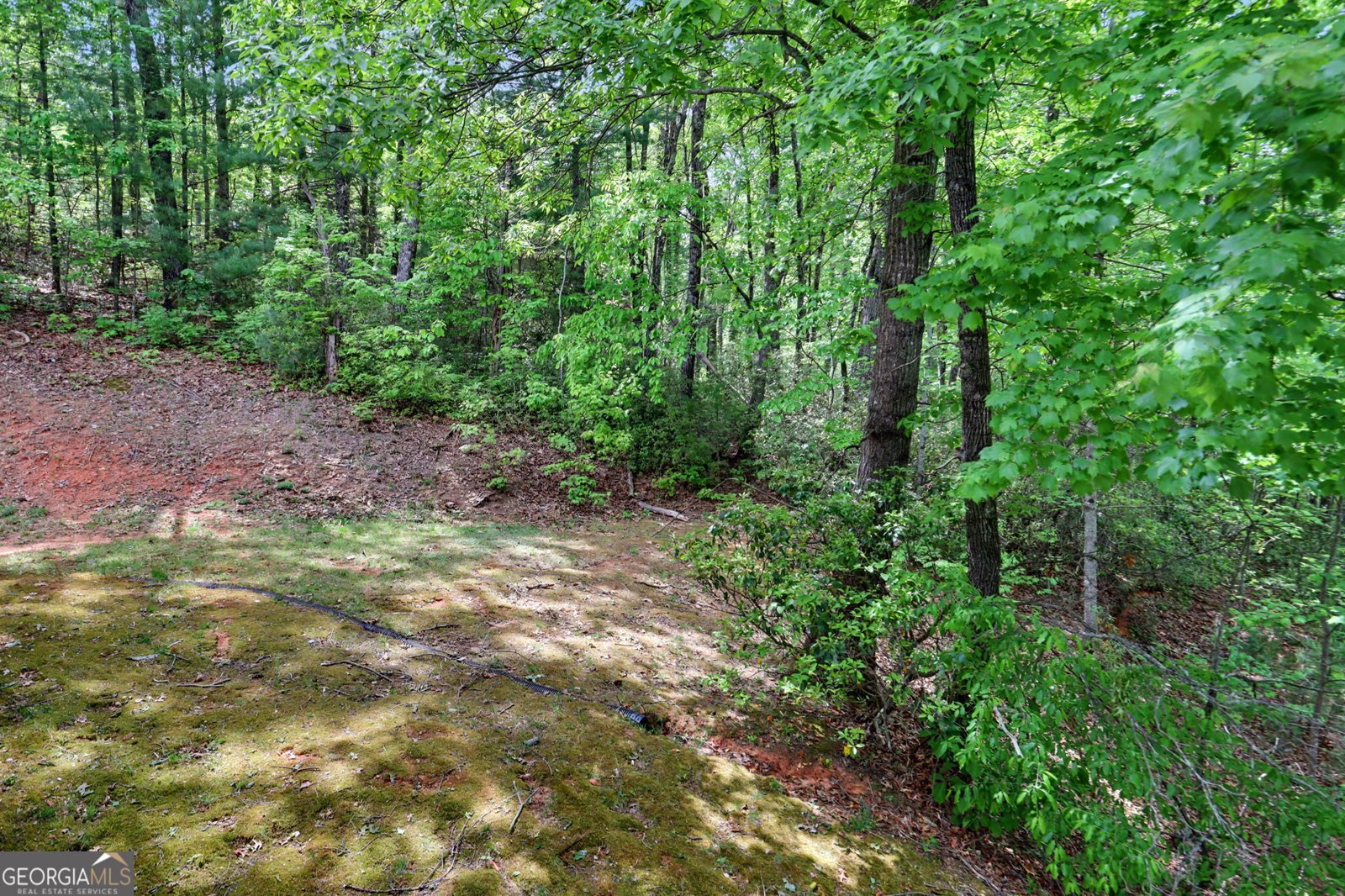 1661 Boggs Mountain Road Tiger - Photo 36