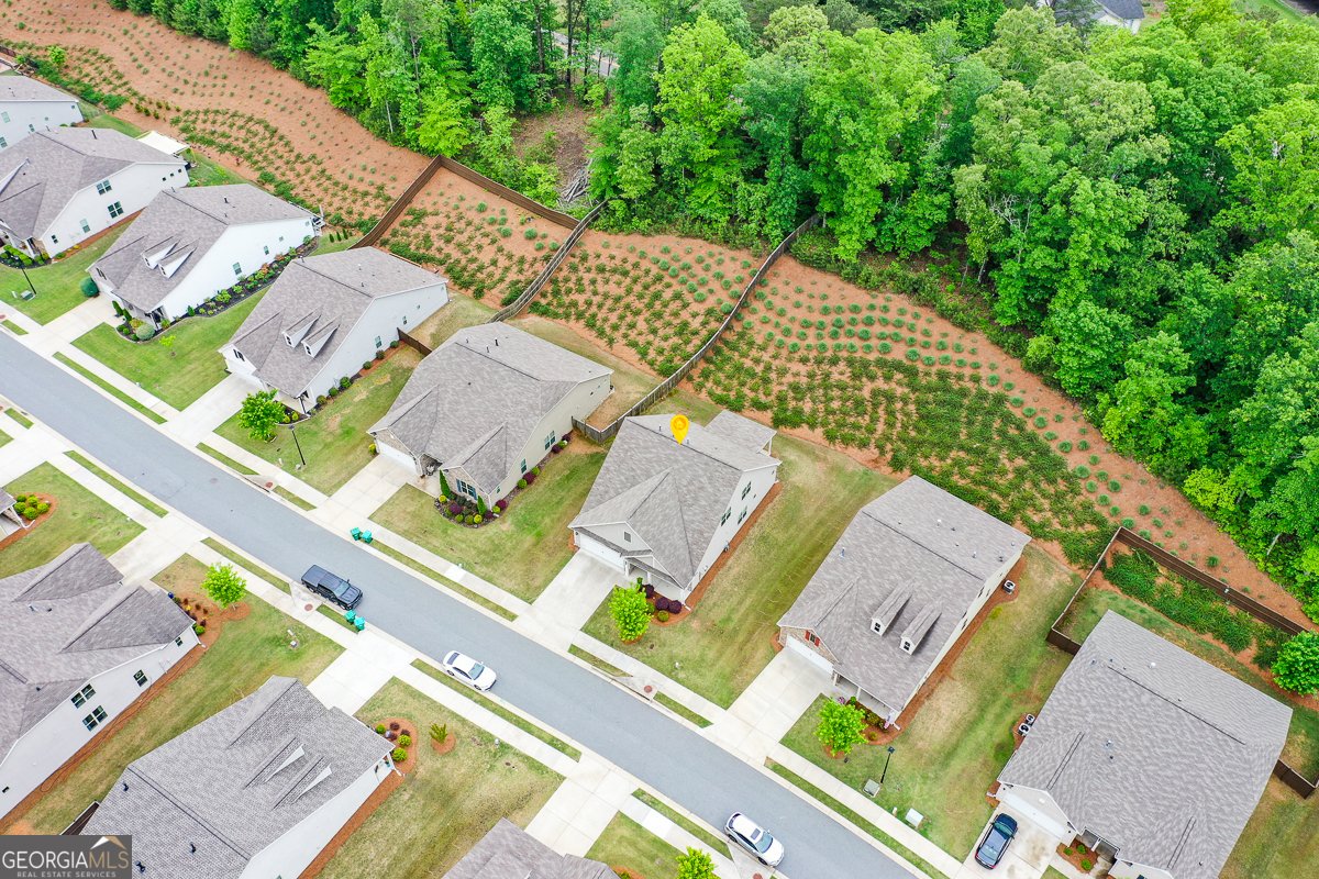 151 Rolling Hills Place Canton - Photo 47