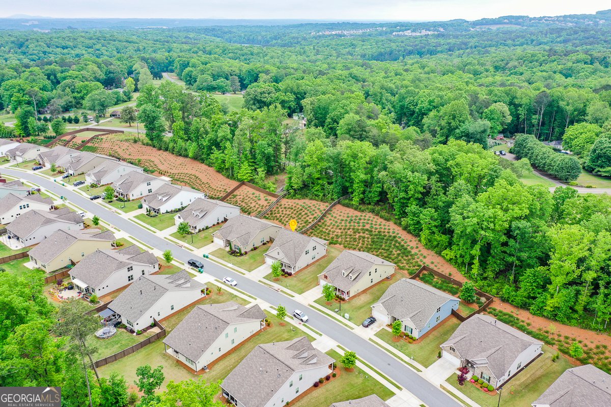 151 Rolling Hills Place Canton - Photo 48