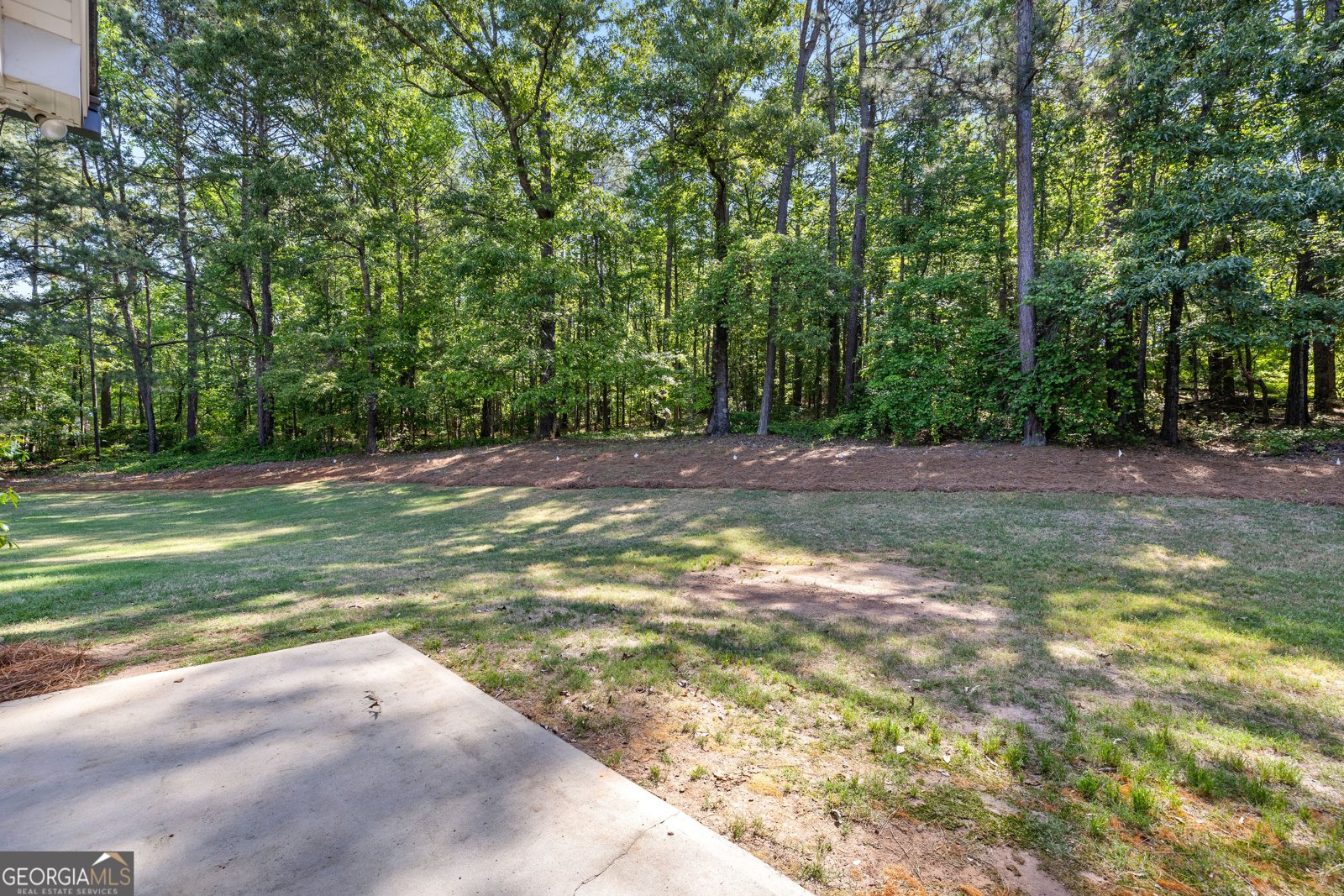 212 Arbor Springs North Drive Newnan - Photo 44