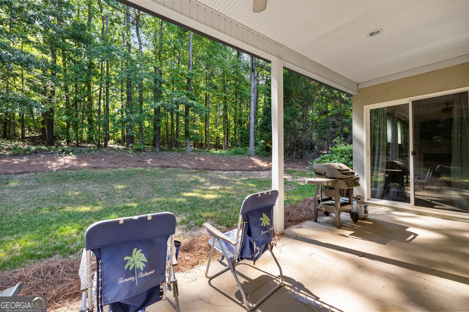 212 Arbor Springs North Drive Newnan - Photo 45