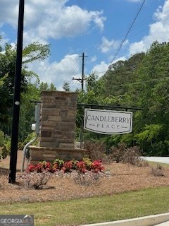 14 Candleberry Way Sharpsburg - Photo 11