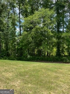 14 Candleberry Way Sharpsburg - Photo 43